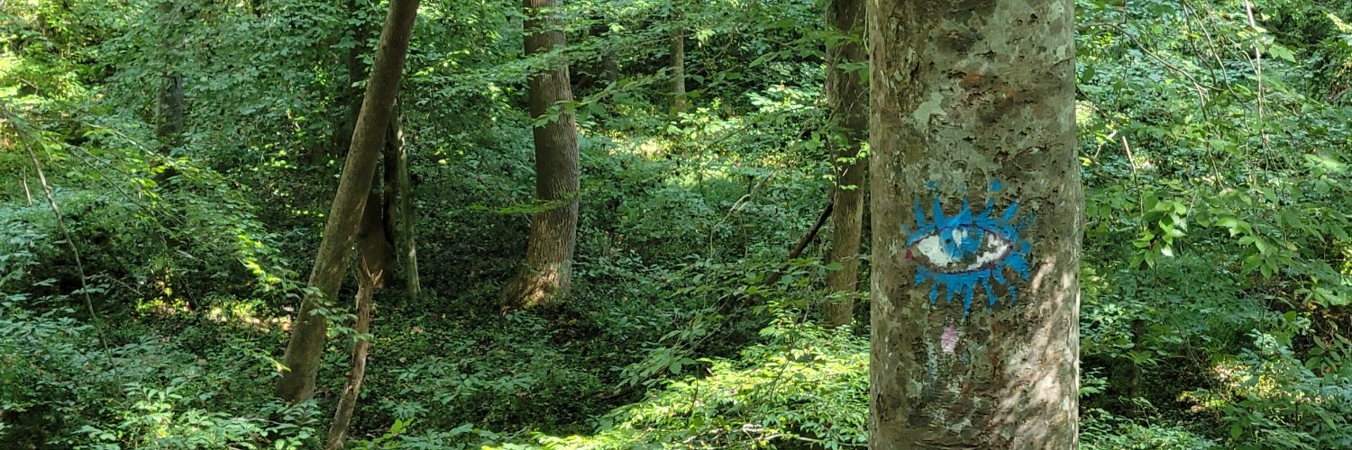 DSJisprettyOK's profile banner image