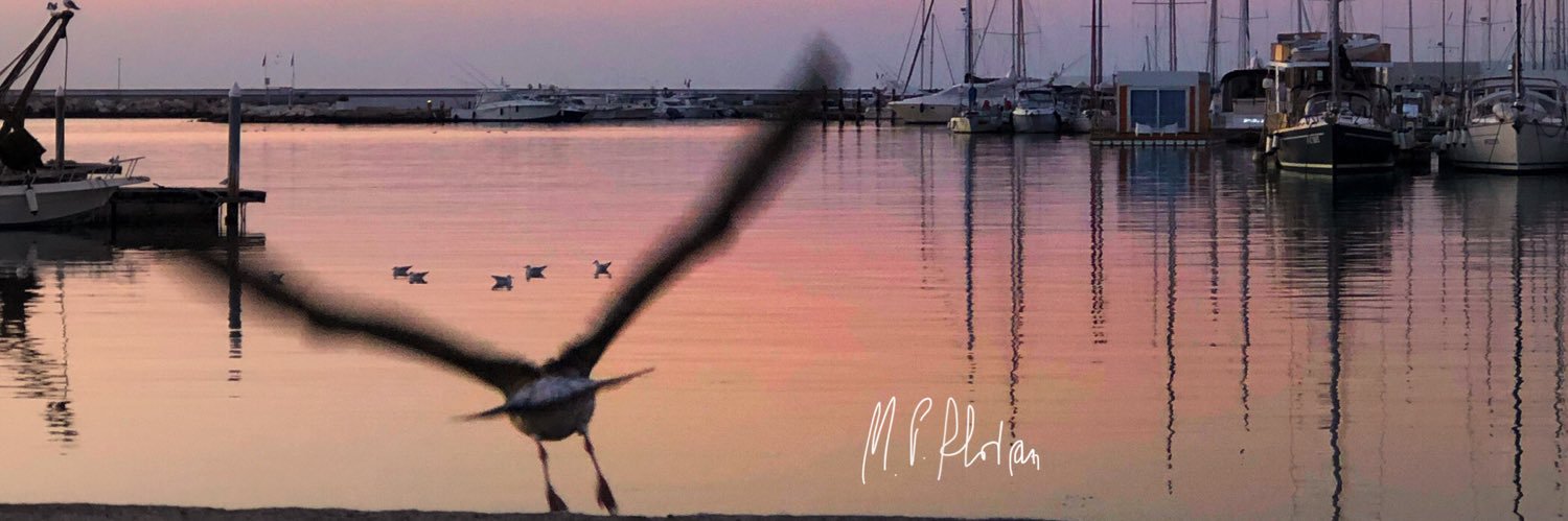mappyflo's profile banner image