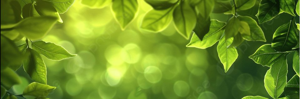 teeew00's profile banner image