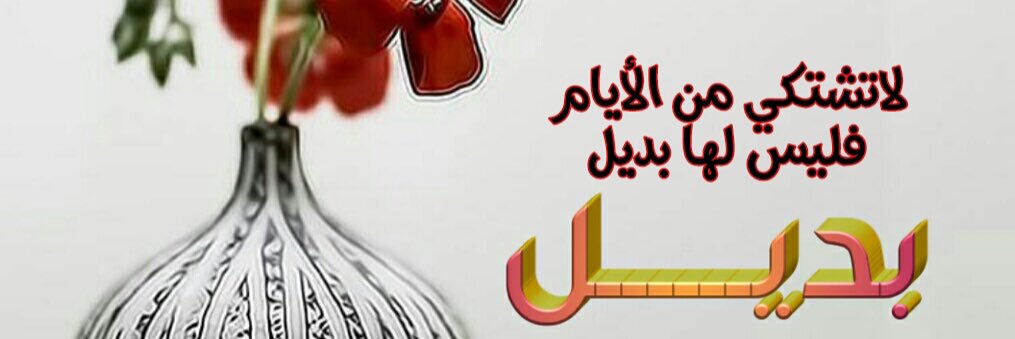 roaz1400's profile banner image