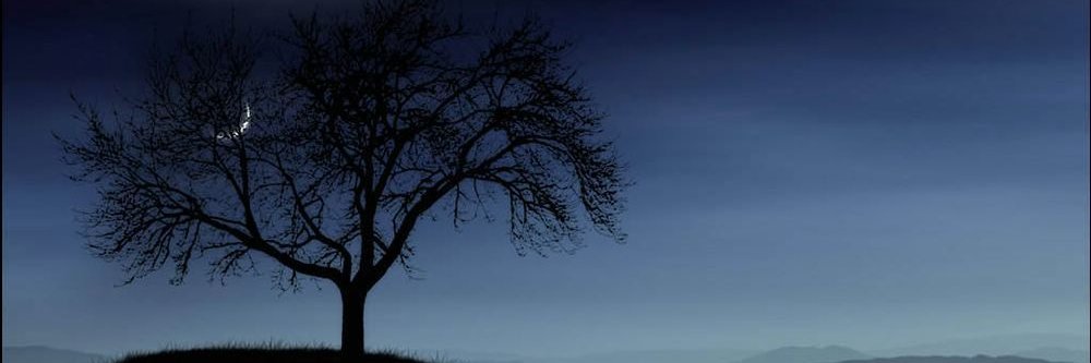 PurplScott's profile banner image
