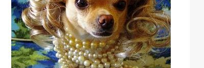 BillNWally's profile banner image