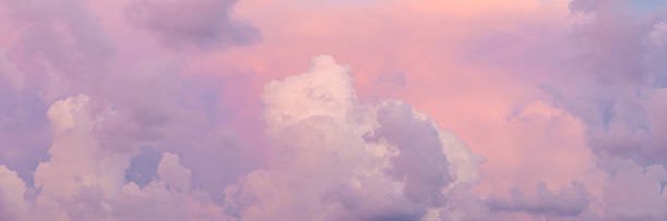 cynthia_phan's profile banner image