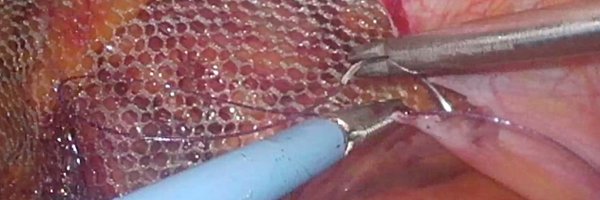 alexbravosalva Profile Banner