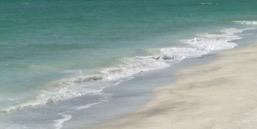 michaeldcmap's profile banner image