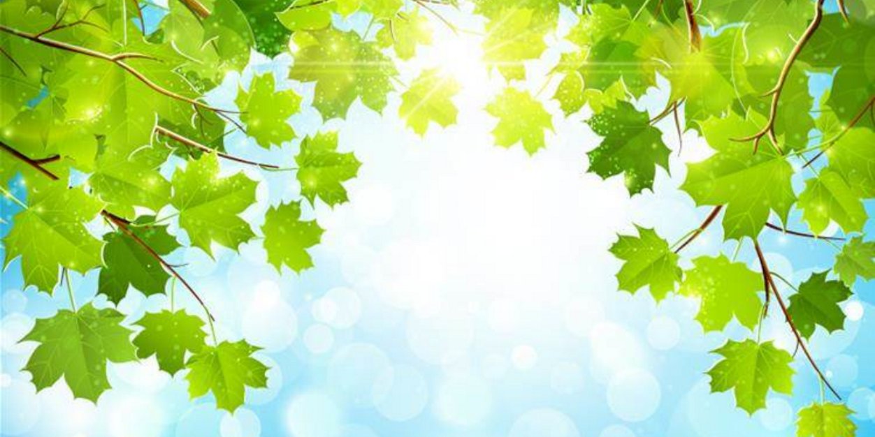 CarstairsPS's profile banner image