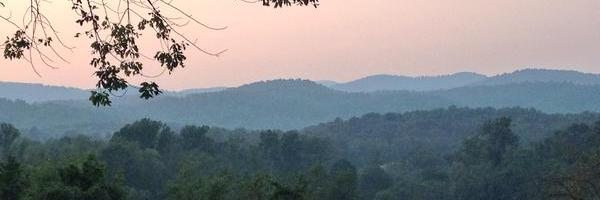 SaveSweetBriar banner