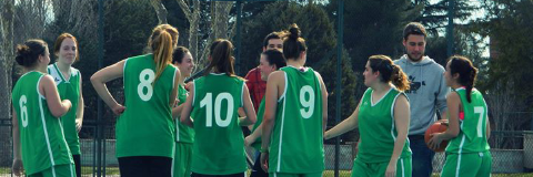 BasketVet's profile banner image