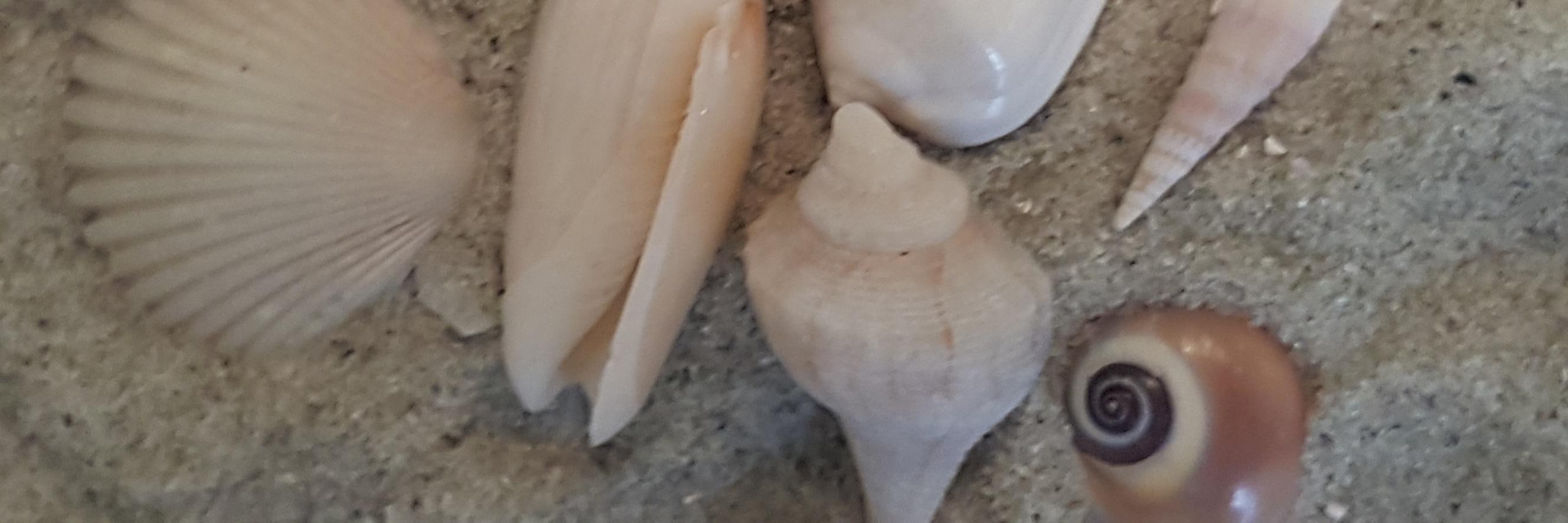 MommaTto3's profile banner image