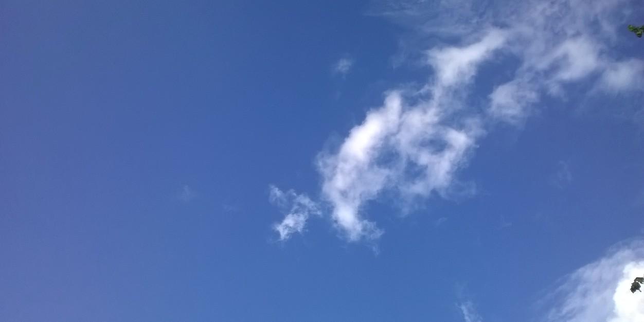denomenuve's profile banner image