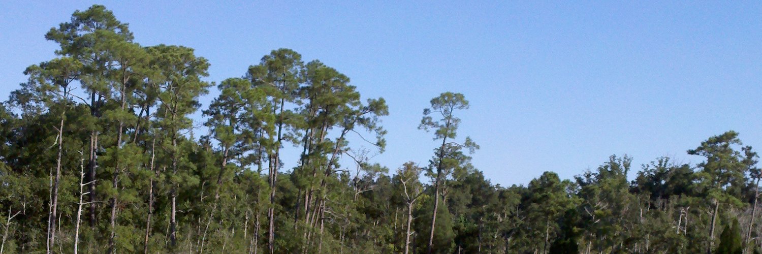 JHWeaver228's profile banner image