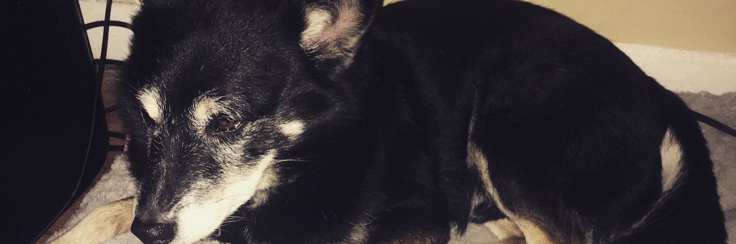 bestlexever's profile banner image
