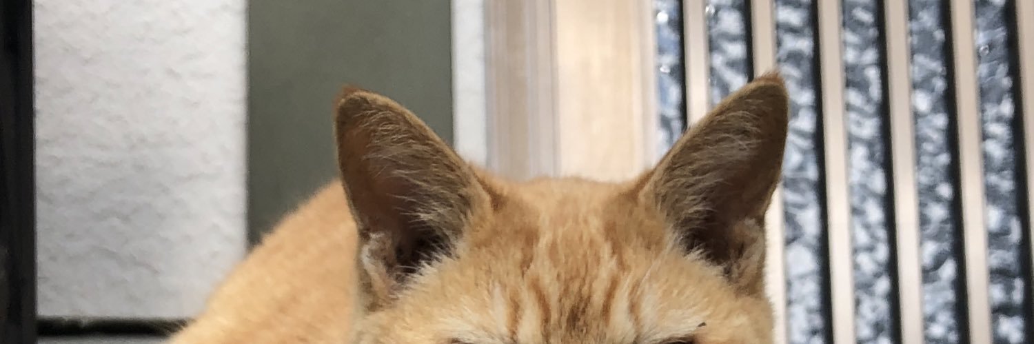 insta360X5's profile banner image