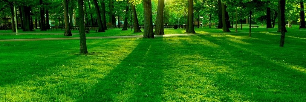 Maria G.Turco banner