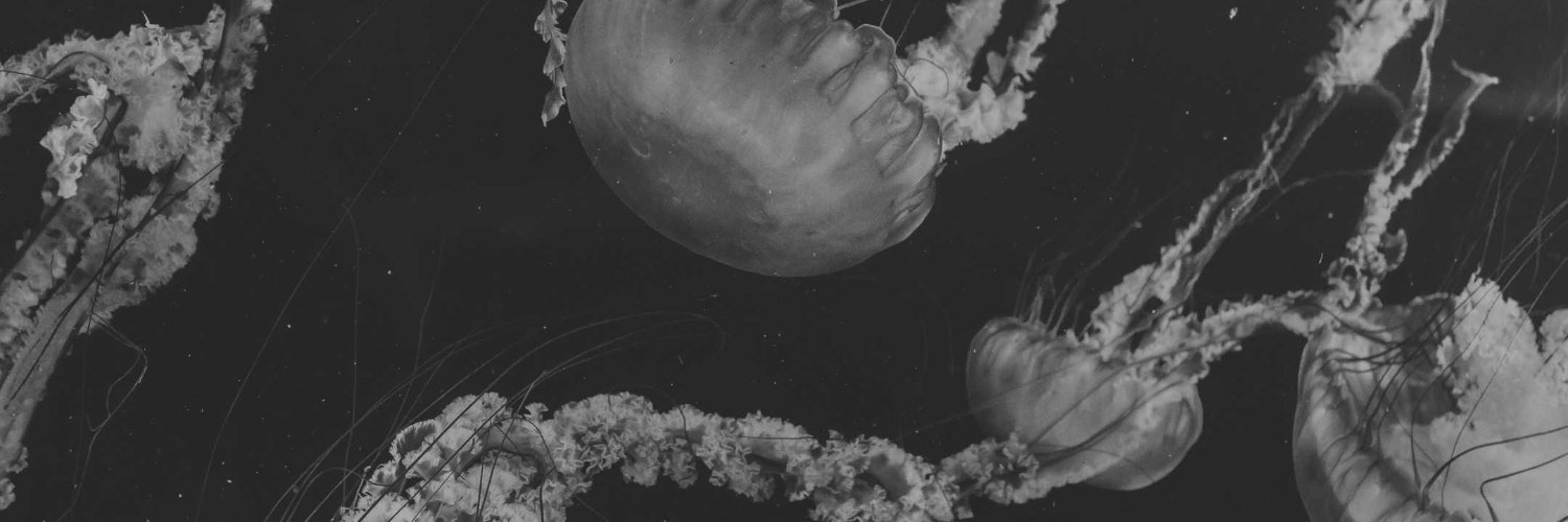 GoZT21's profile banner image