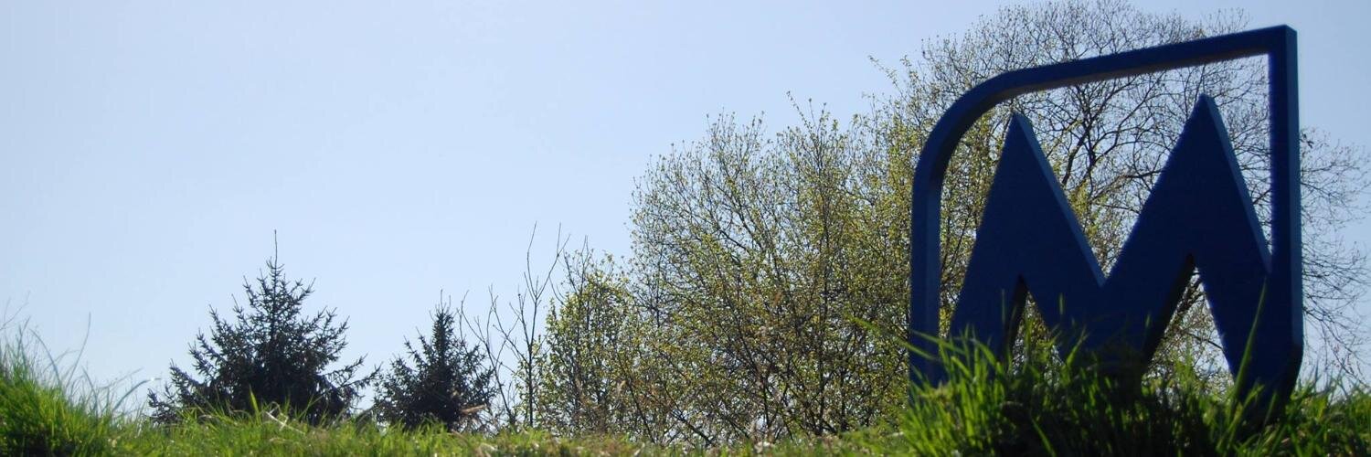mastrosoft's profile banner image