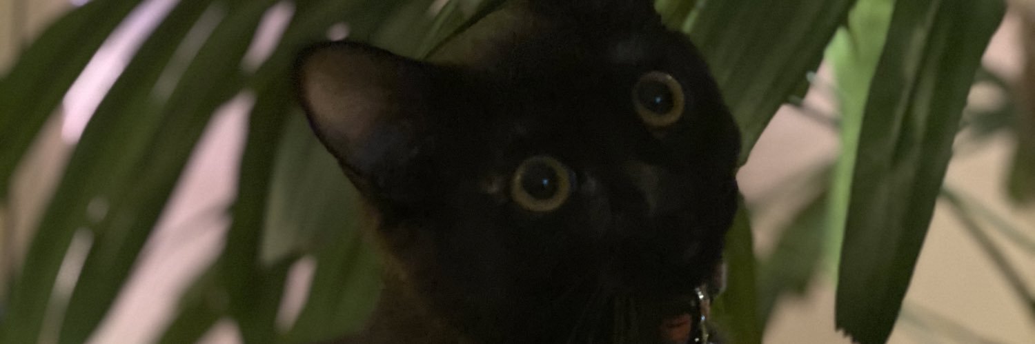 ayejaimay's profile banner image