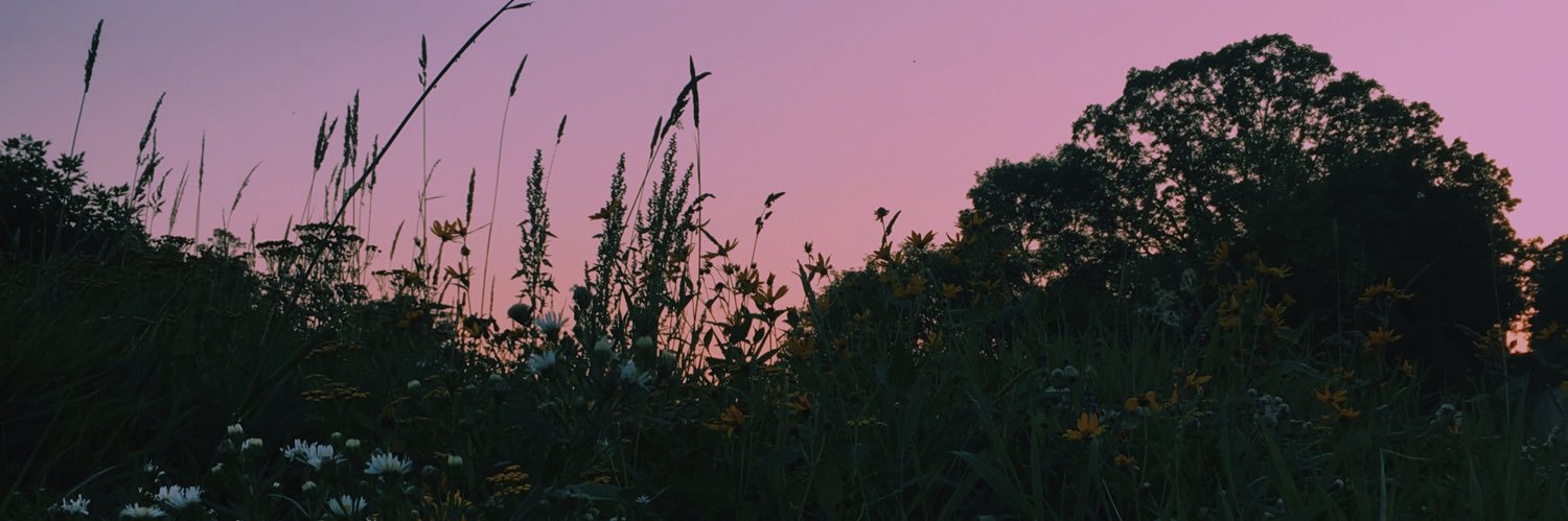 AlexisMaeMartin's profile banner image