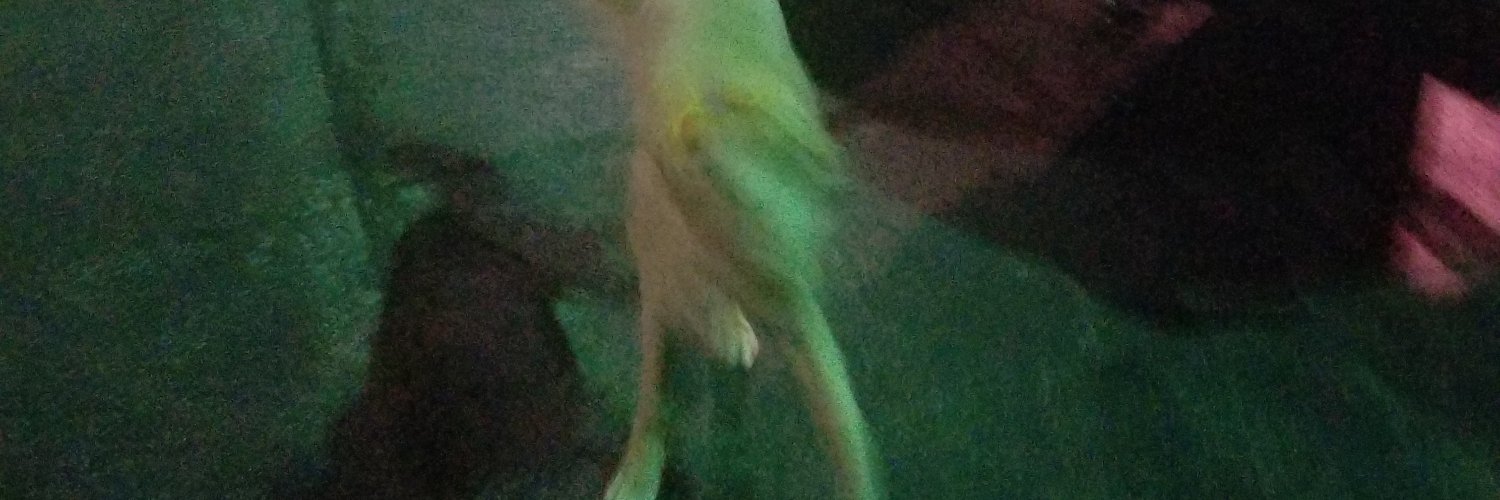 lodsofmoney's profile banner image