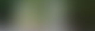 colorlessblue2's profile banner image