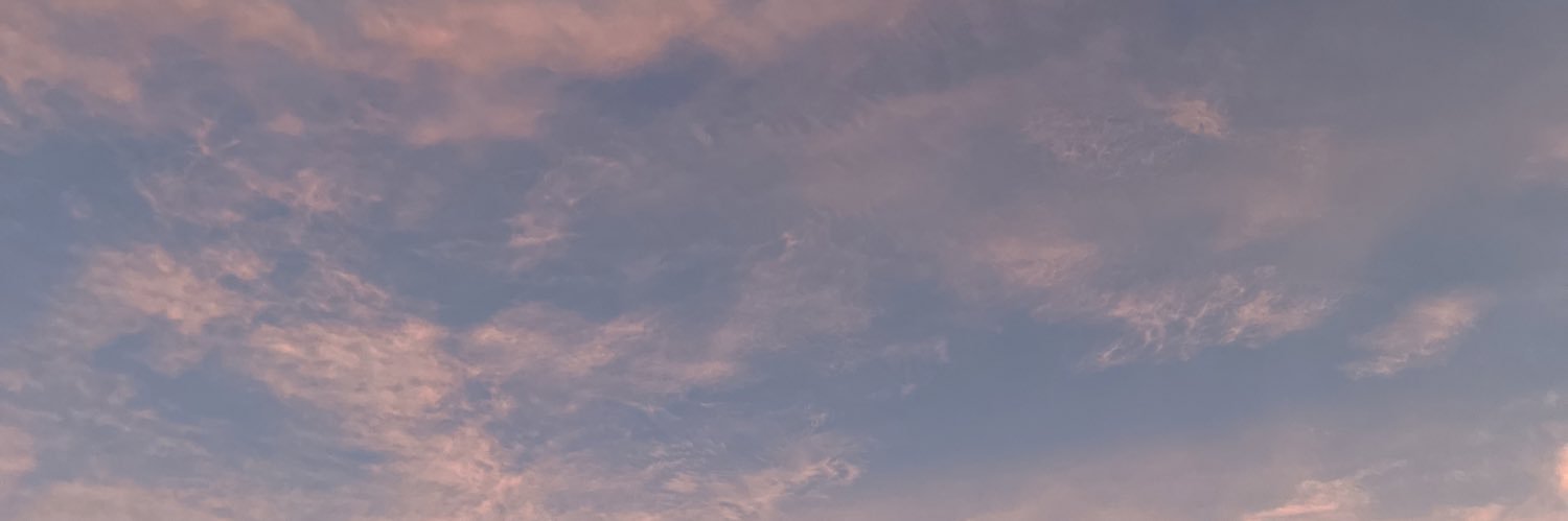 arcarolina_'s profile banner image