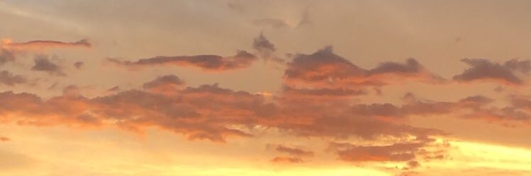 JLostalo's profile banner image