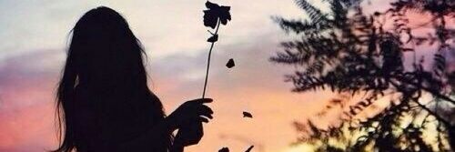 Aom_Kets's profile banner image