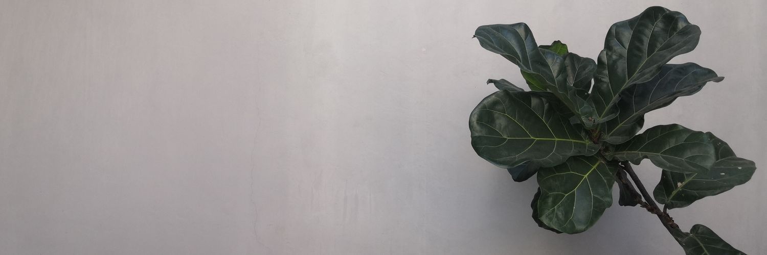 Intenss's profile banner image