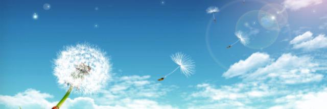 hlin52's profile banner image