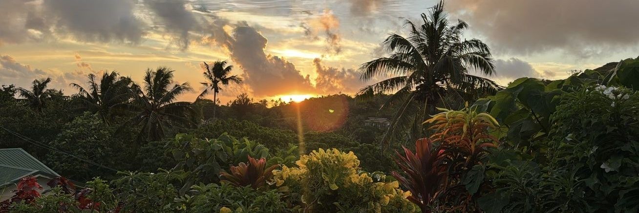 𝖘𝖆𝖗𝖆🍁 banner