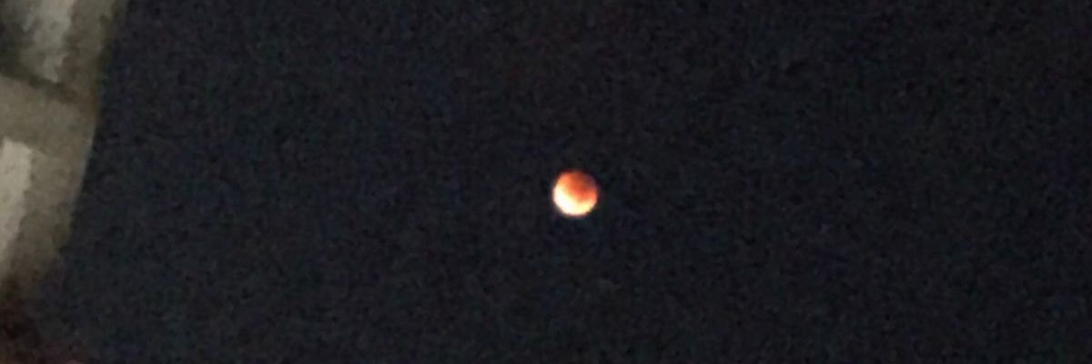 bellslm's profile banner image