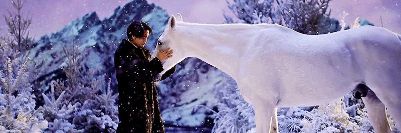 mongkai3522's profile banner image