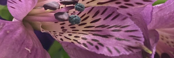 natashama80 Profile Banner