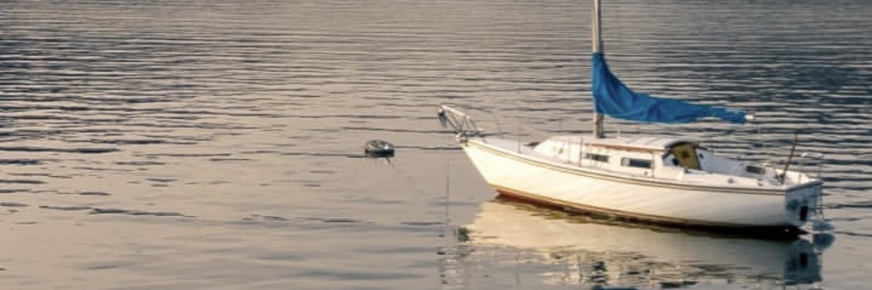 MariaMimFlo's profile banner image