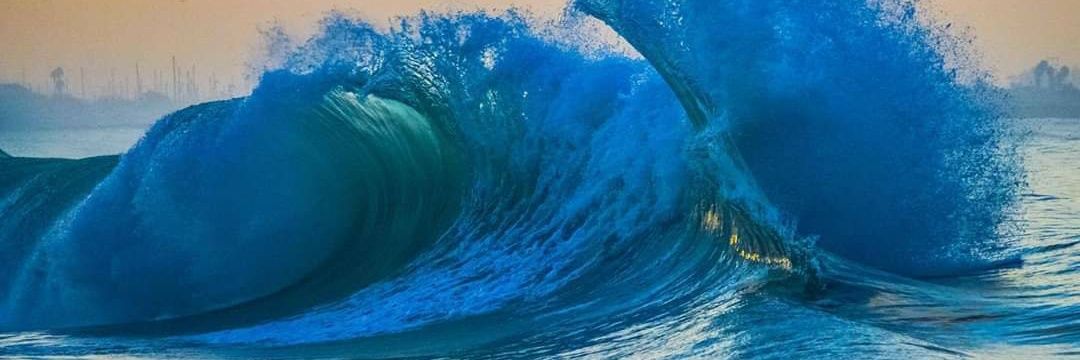 S.T. Fernandez | Author ✍️📚 banner