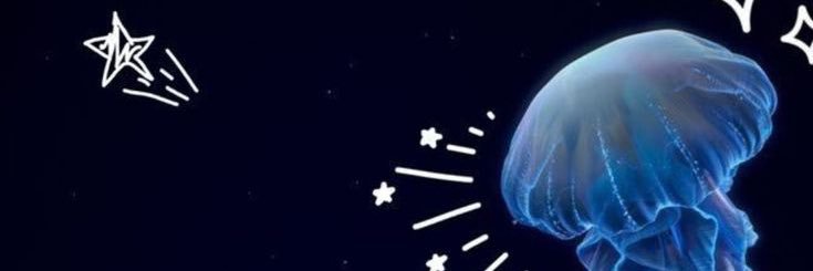 DMillioon's profile banner image