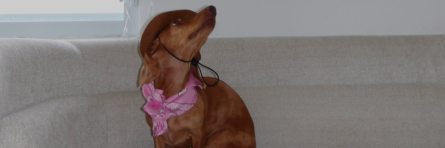 lmvra's profile banner image