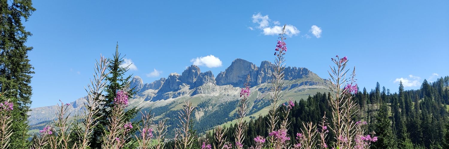 Francesca Boffi banner