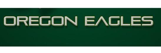 oreagles's profile banner image