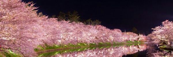 lanksan's profile banner image