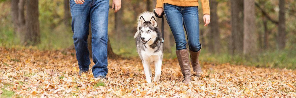 Mckenzie Olson banner