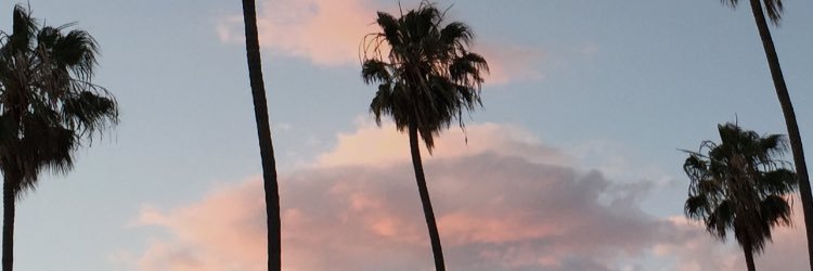 smileymaile22's profile banner image