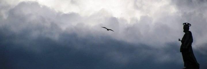 Enough is Enough! 🥑 banner