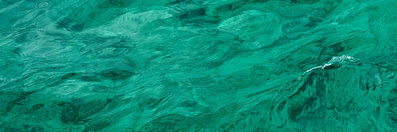 amberzamora_'s profile banner image