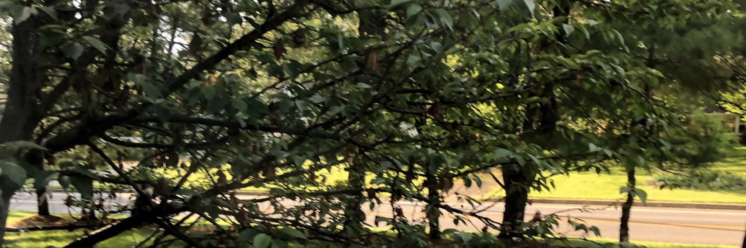 Nick banner
