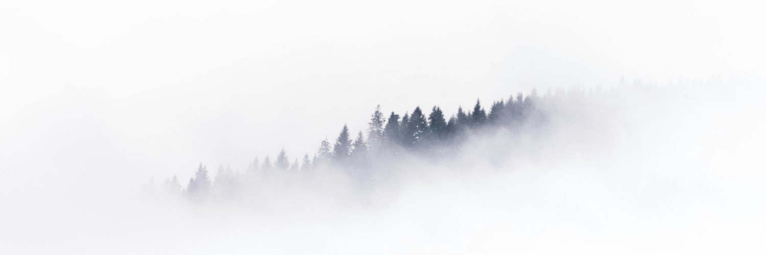 furmanets's profile banner image