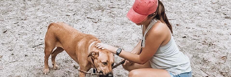 madisoncalnan's profile banner image