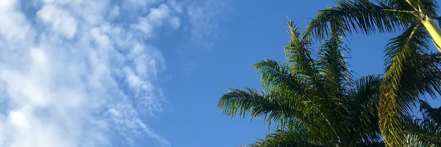 _storres's profile banner image