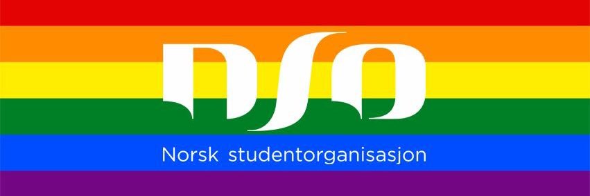 synnegronvold's profile banner image