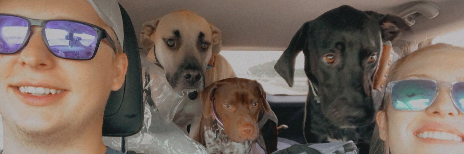Bre_Bullard's profile banner image